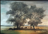 bild5